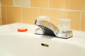 OYO Hotel Beeville - US 181