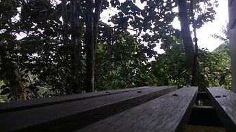 Garcinia Leaf