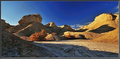 Desert View