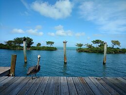 Conch Key Fishing Lodge and Marina