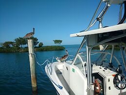 Conch Key Fishing Lodge and Marina