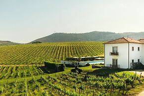 The Manor House Celeirós