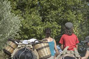 Enagron Cretan Ecotourism Village