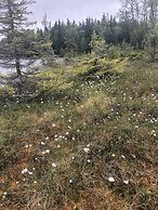 Storliens Fjällgård  - Hostel