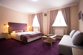 Hotel Aviator Sheremetyevo