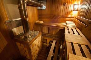 Hotel Aviator Sheremetyevo