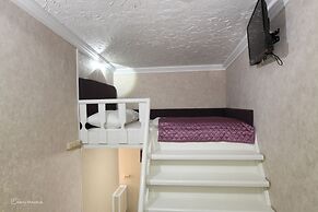 Hotel Aviator Sheremetyevo