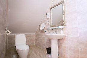 Hotel Aviator Sheremetyevo