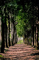 Park-Hotel Vozdvizhenskoe