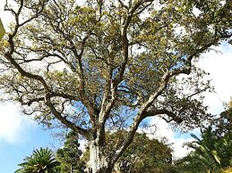 Casa Do Jardim