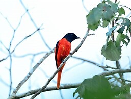 The Satwa Elephant Ecolodge