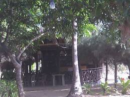 Palm Grove Holiday Inn