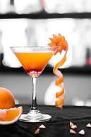 EKHO Lake Polonnaruwa