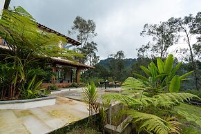 Termales del Otoño