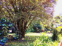 Hotel California Pacho