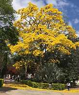 Hotel California Pacho