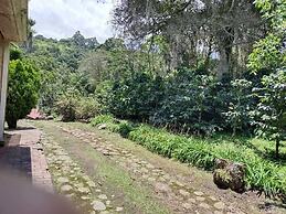 Hotel California Pacho