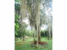 Hotel California Pacho