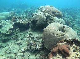 Ciudad Pérdida Ecolodge