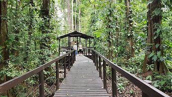 Ciudad Pérdida Ecolodge