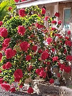 Pousada Vale da Serra