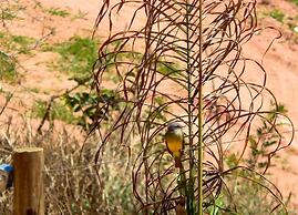 Hotel Fazenda Molise