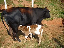 Refúgio Serra Negra