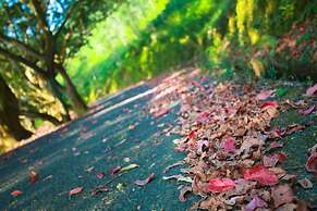 Sun Moon Lake Fuli Hot Spring Resort