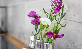 Dreamkeys Apartments & Suites