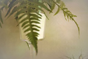 Dreamkeys Apartments & Suites