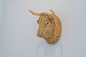 La Siesta de Picasso