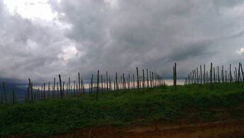 Khao Kho Boutique Camps