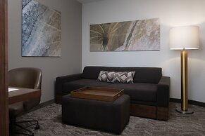 SpringHill Suites Orlando at FLAMINGO CROSSINGS® Town Center/Western E