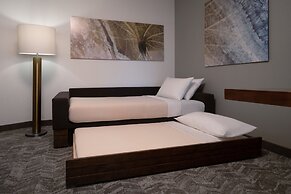 SpringHill Suites Orlando at FLAMINGO CROSSINGS® Town Center/Western E
