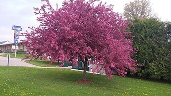 Sudbury Court Motel and RV Park