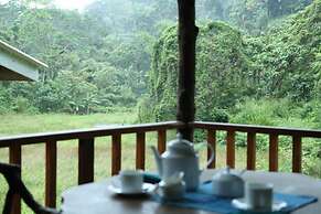 Sinharaja Forest Edge