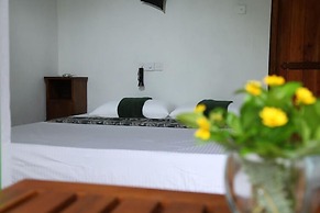 Sinharaja Forest Edge