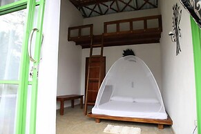 Sinharaja Forest Edge