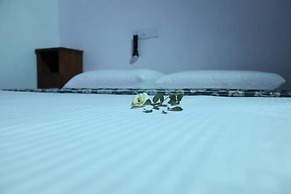 Sinharaja Forest Edge