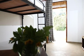 Sinharaja Forest Edge