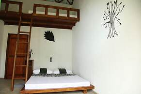 Sinharaja Forest Edge