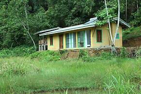 Sinharaja Forest Edge