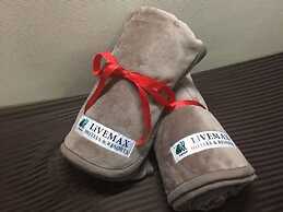 HOTEL LiVEMAX Mihara Ekimae