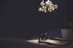 Liodoro Bed and Breakfast