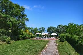 Bellavista farm of Quercini Maurizio