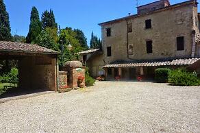 Bellavista farm of Quercini Maurizio