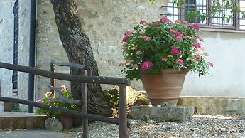 Bellavista farm of Quercini Maurizio