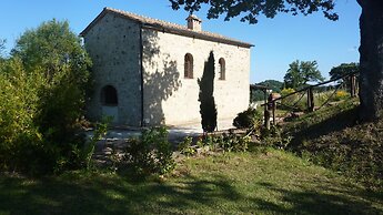 Bellavista farm of Quercini Maurizio