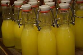 Radisson Blu M'Bamou Palace Hotel