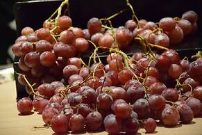 Radisson Blu M'Bamou Palace Hotel